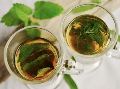 Hierbas aromáticas con propiedades medicinales
