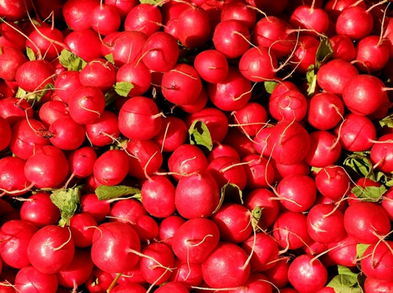 Propiedades de los rabanitos