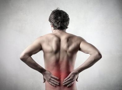 Plantas analgésicas para aliviar el dolor de espalda