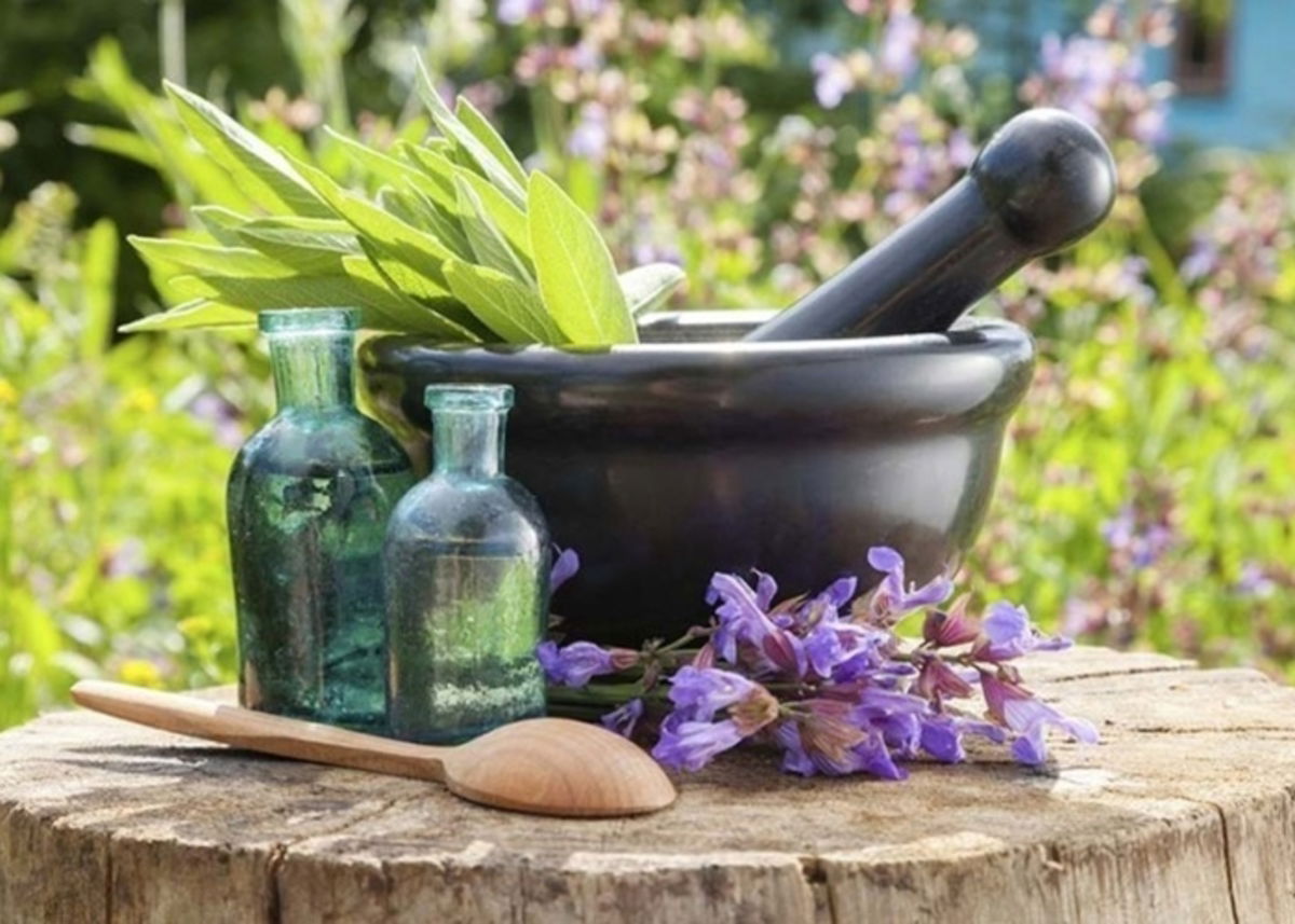 Hierbas medicinales para tratar la indigestión