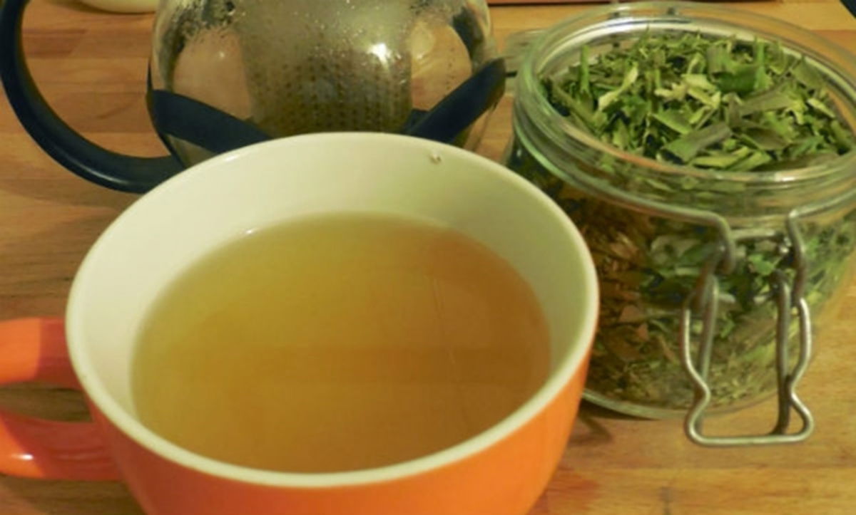 Té con hojas de olivo