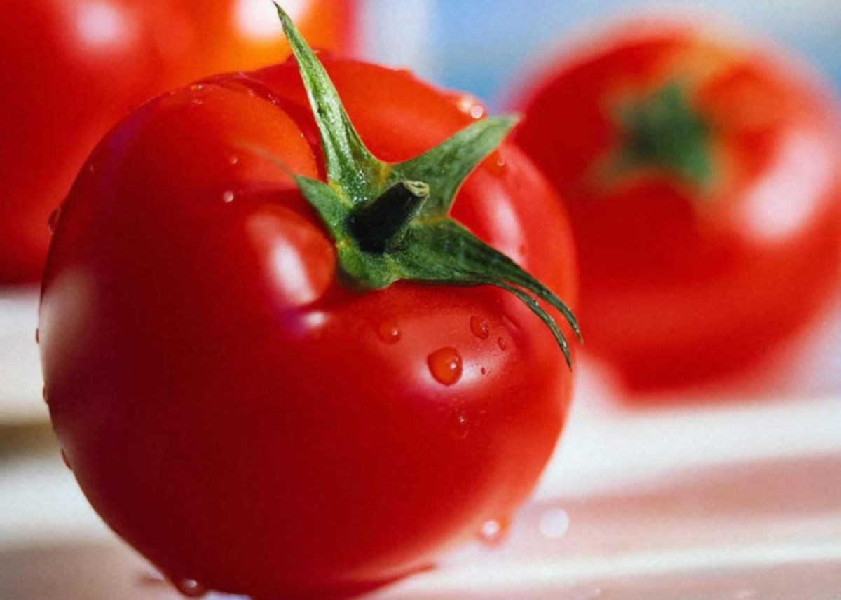 Tomates