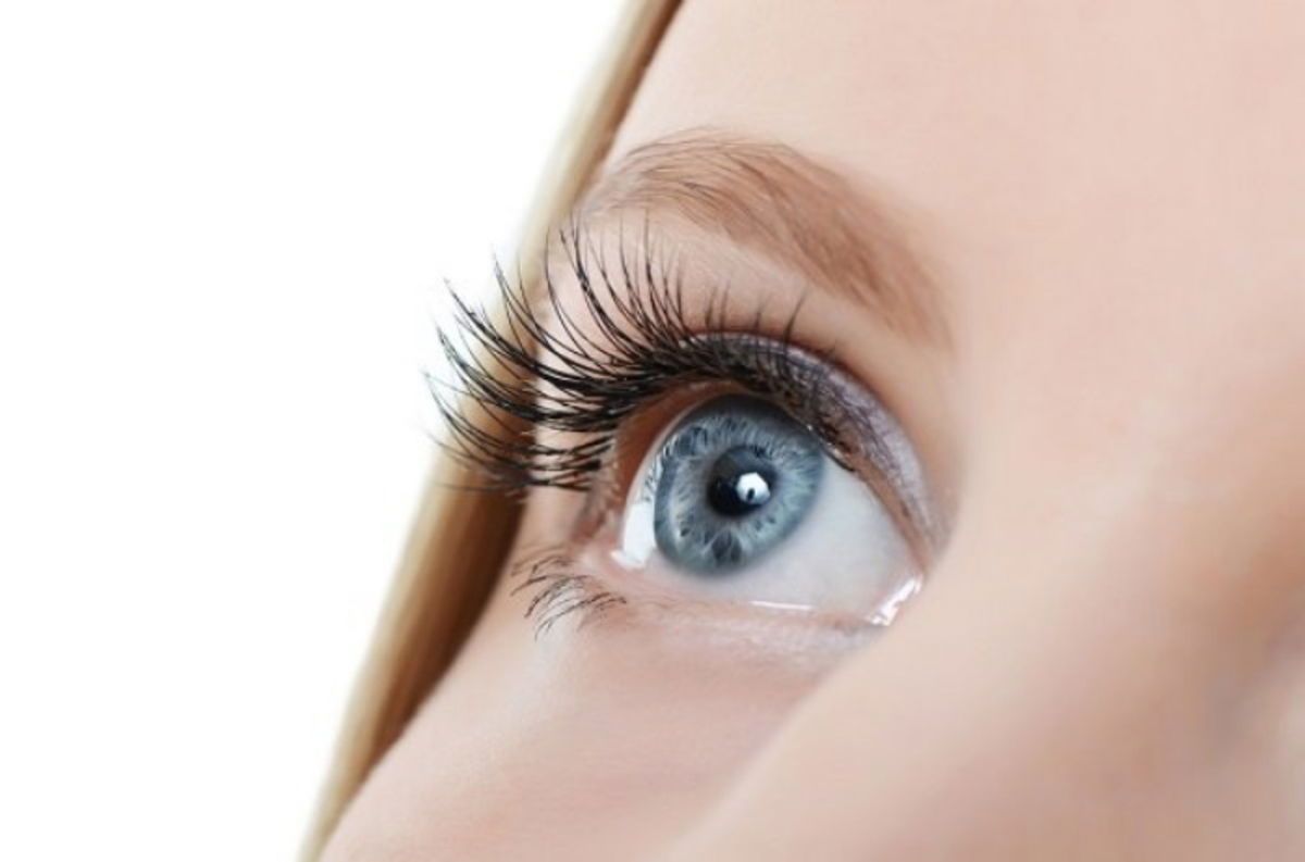 Cejas