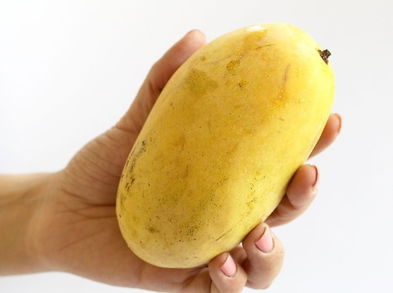 El mango para bajar de peso y disminuir la presión arterial