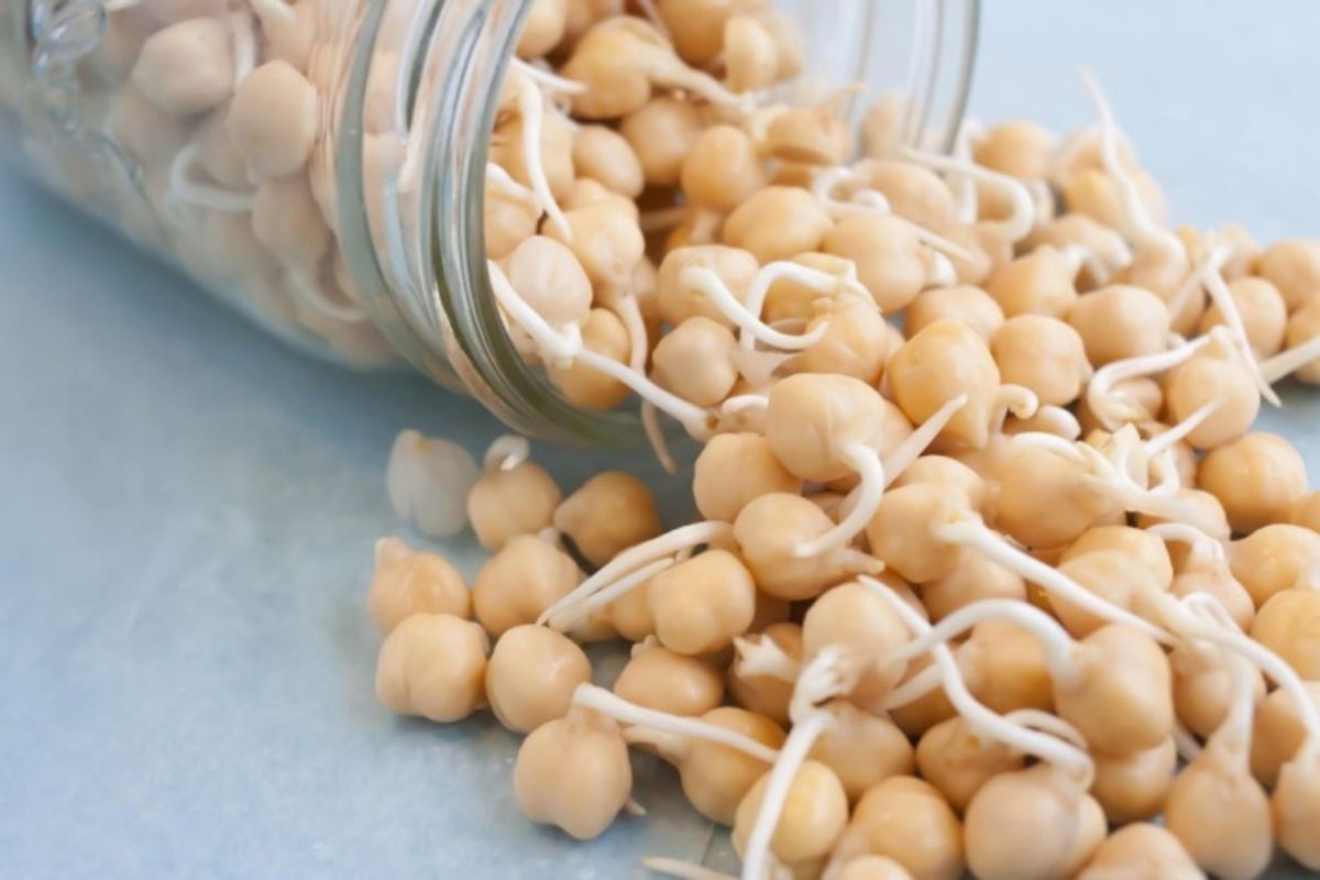 Alimentos antinutrientes