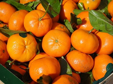 Reduce el colesterol y los triglicéridos con piel de mandarinas