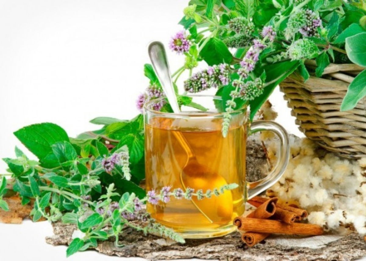 Plantas inhiben apetito