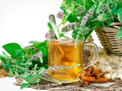 Plantas que inhiben el hambre