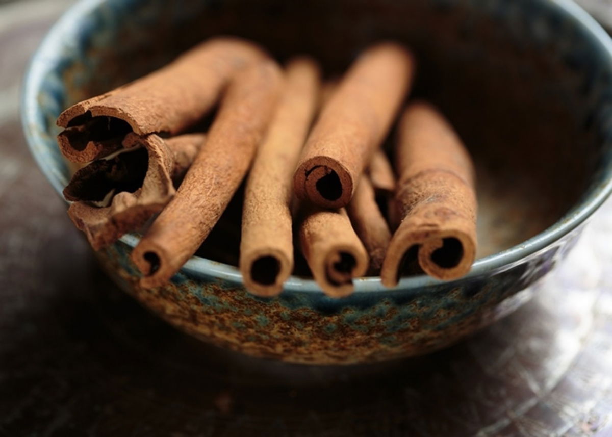 Canela en rama