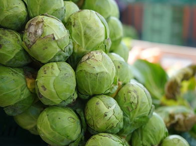 Alimentos saludables para la mujer