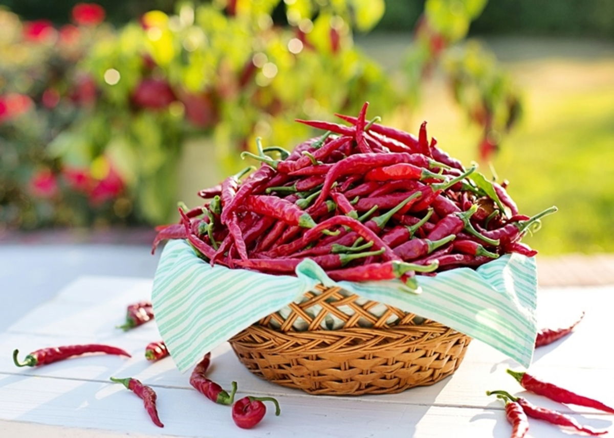 Beneficios y contraindicaciones de las comidas picantes