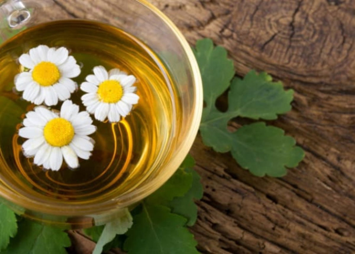 Infusión manzanilla