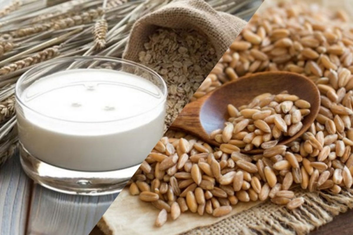 Leche espelta