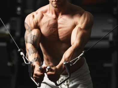 Ejercicios con poleas para un trabajo más completo