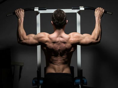 Consejos para elegir una barra de dominadas para casa