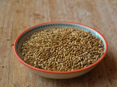 Bondades del alpiste para la salud