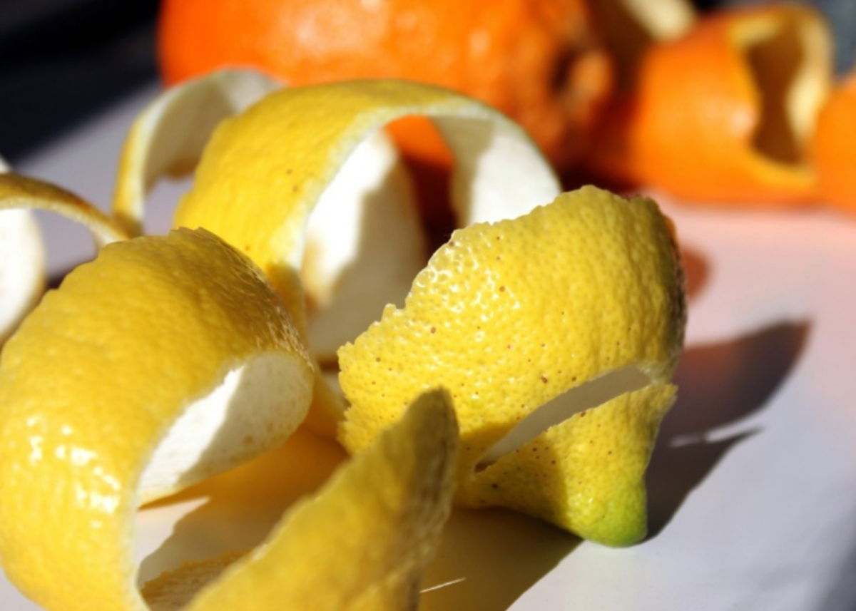 Corteza de cítricos