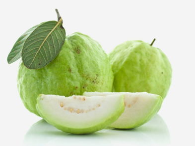 En qué contribuye las hojas de la guayaba para la salud