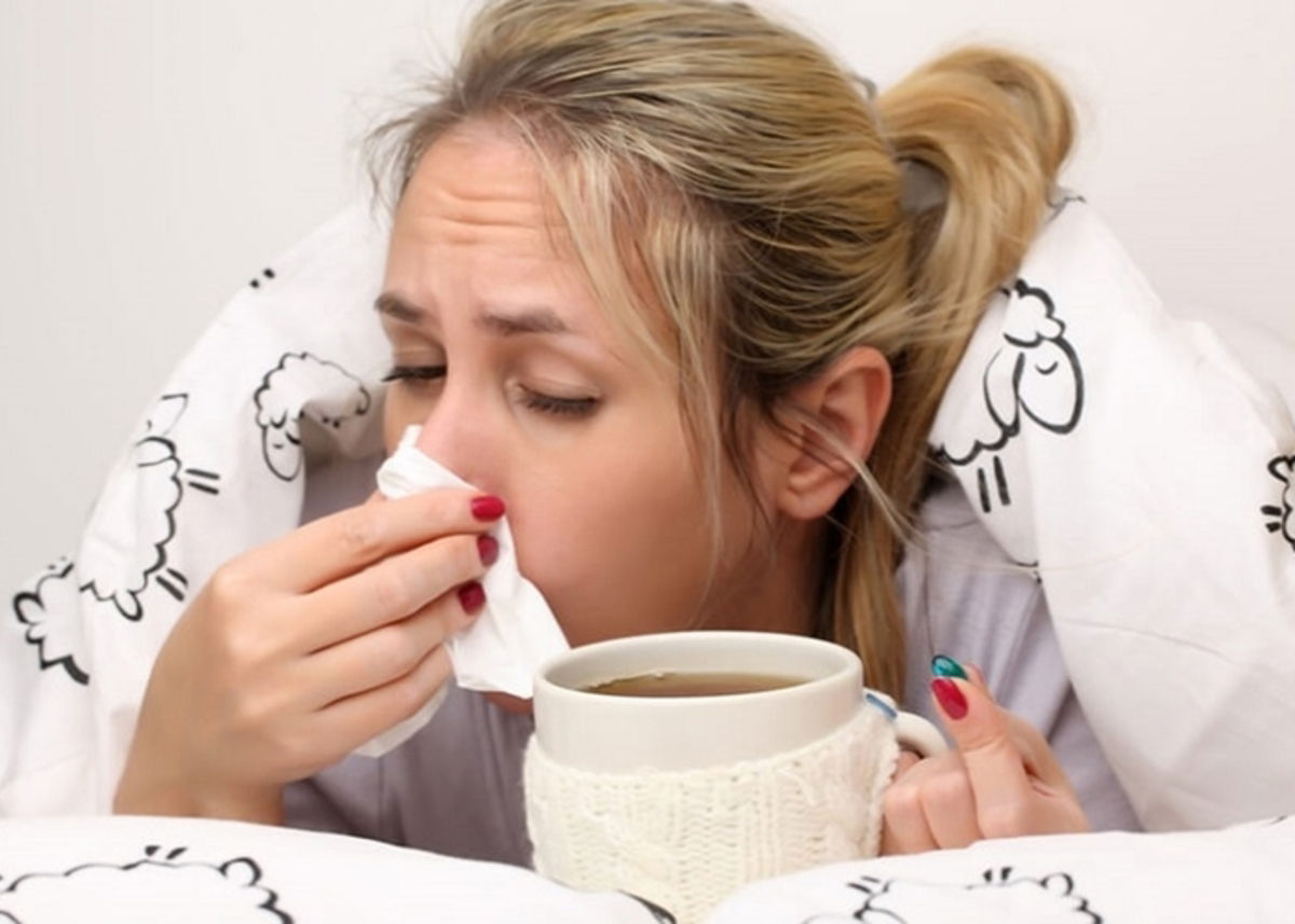 Recetas caseras para tratar resfriados
