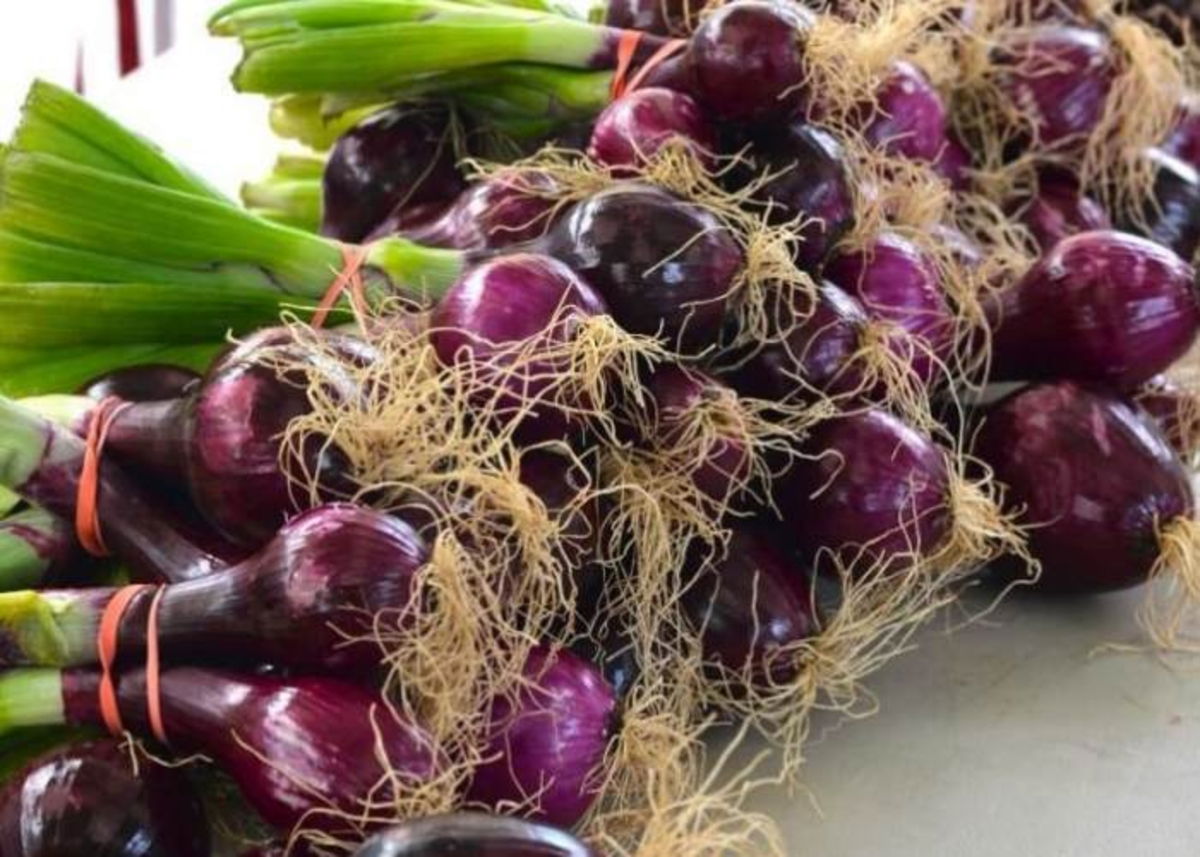Cebollas moradas con rabo