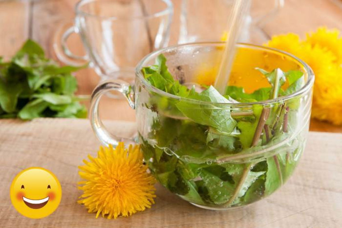 Infusión