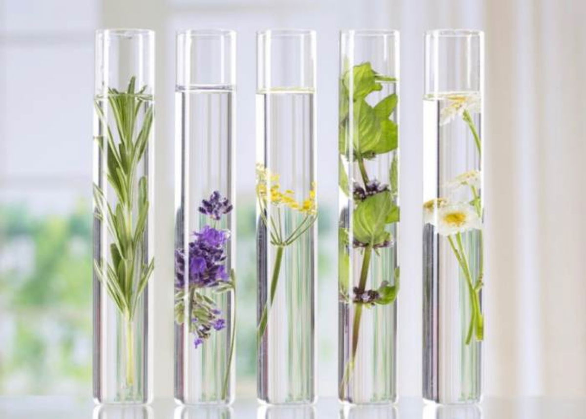 Tubos con aguas florales