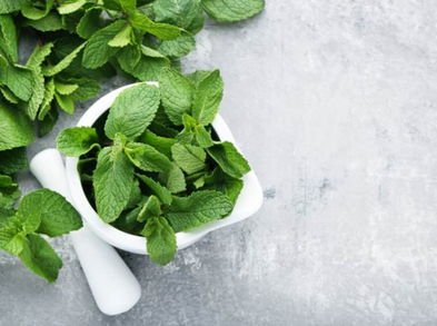 Razones de peso para consumir menta
