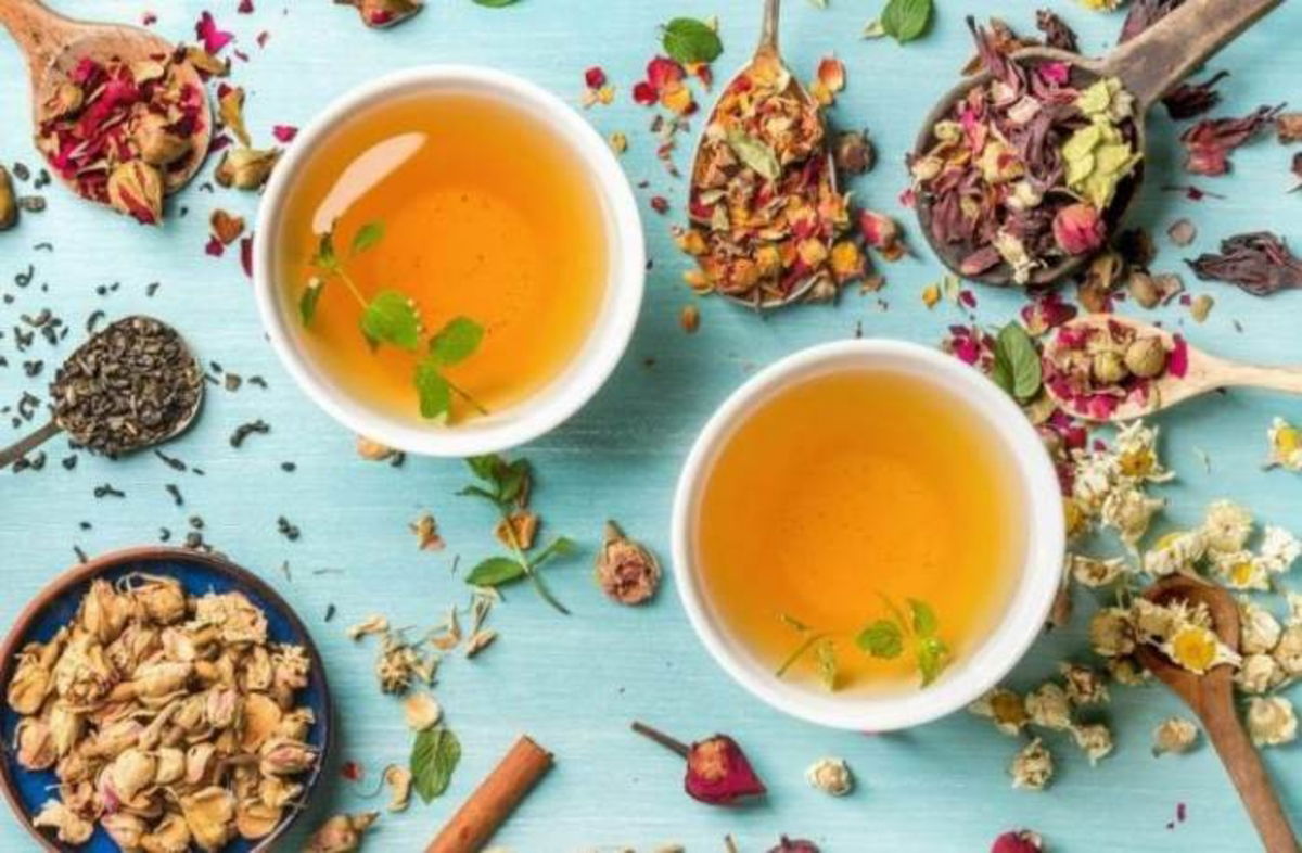 Infusiones y plantas