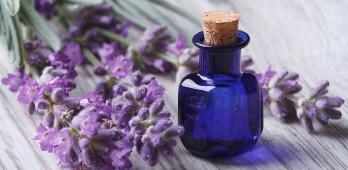 Lavanda y frasco