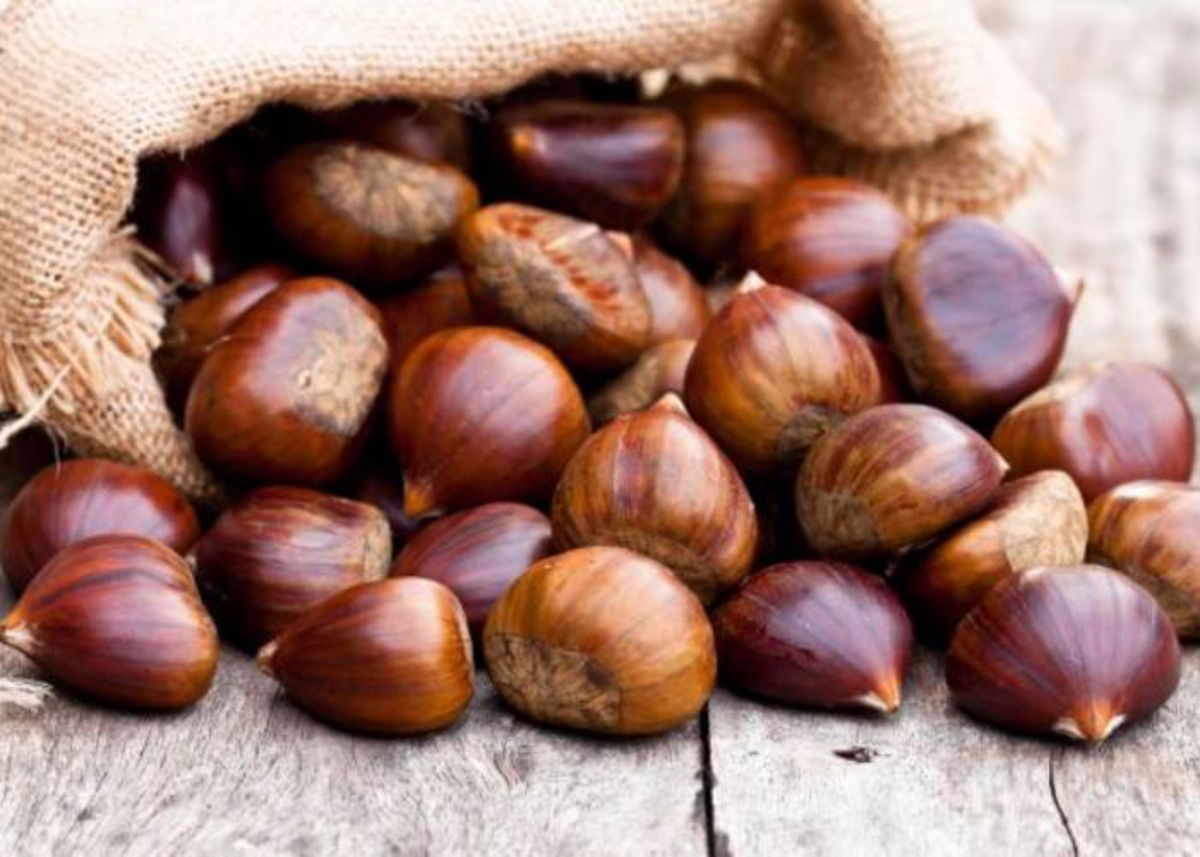 Costal con castañas