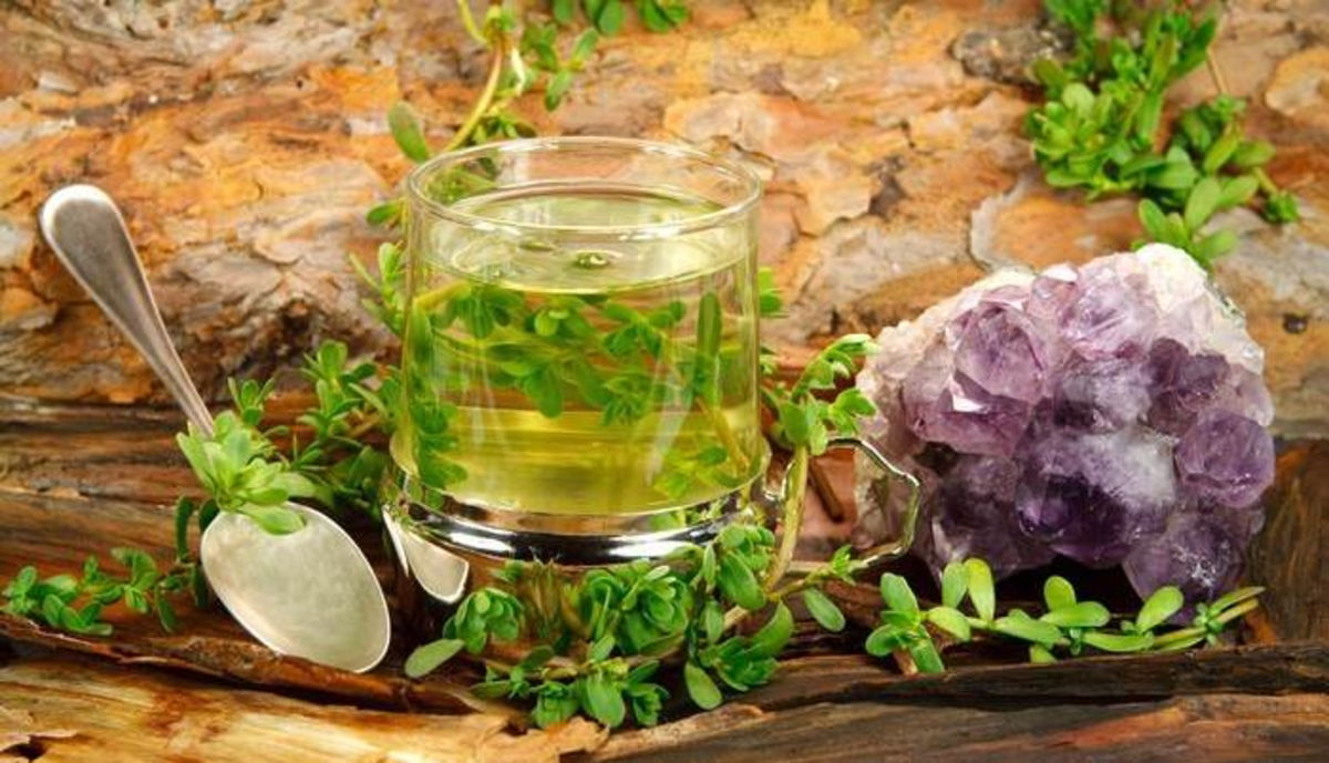 Taza con infusión y planta