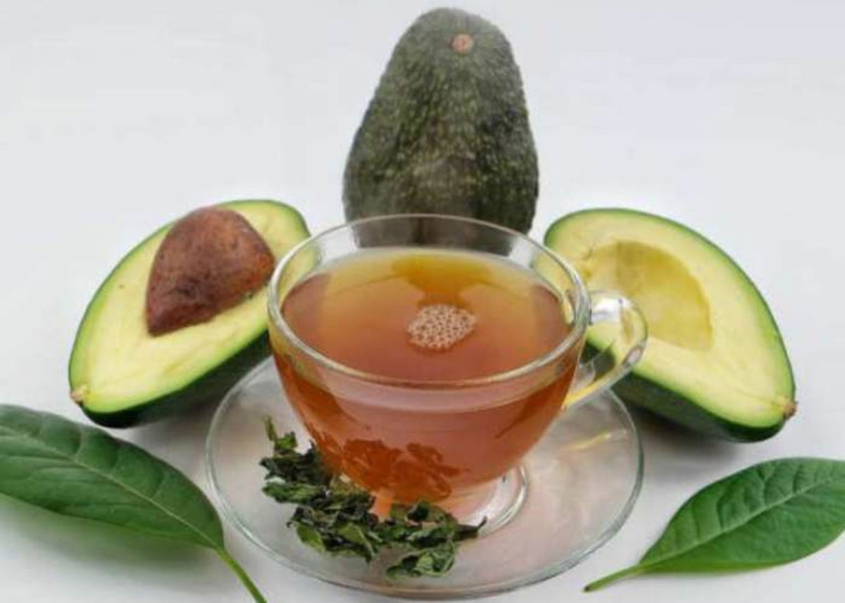 Infusión hojas aguacate