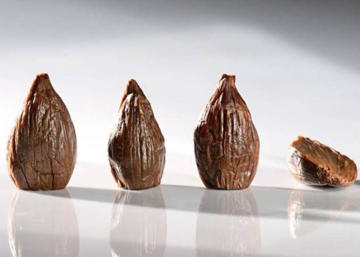 Varias cebollas negras