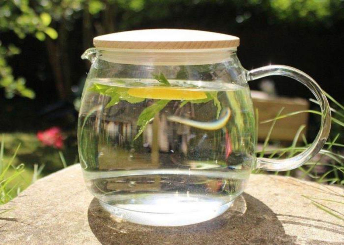 Infusión alfalfa