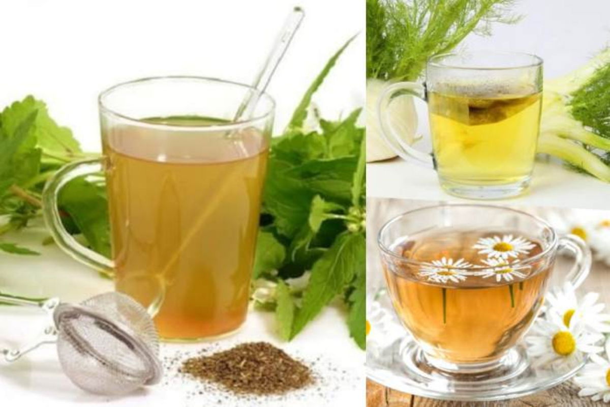 Infusiones plantas