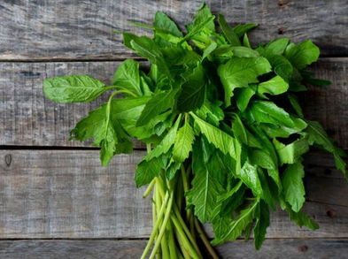 5 razones para comer epazote y recetas donde puedes incluirlo