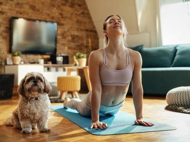 Ejercicios para hacer con tu mascota estando en cuarentena