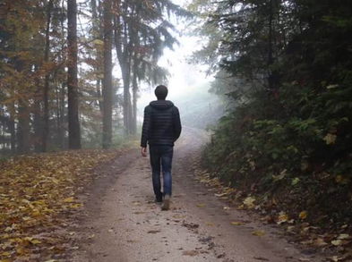 Conoce los beneficios del Shinrinyoku para la salud