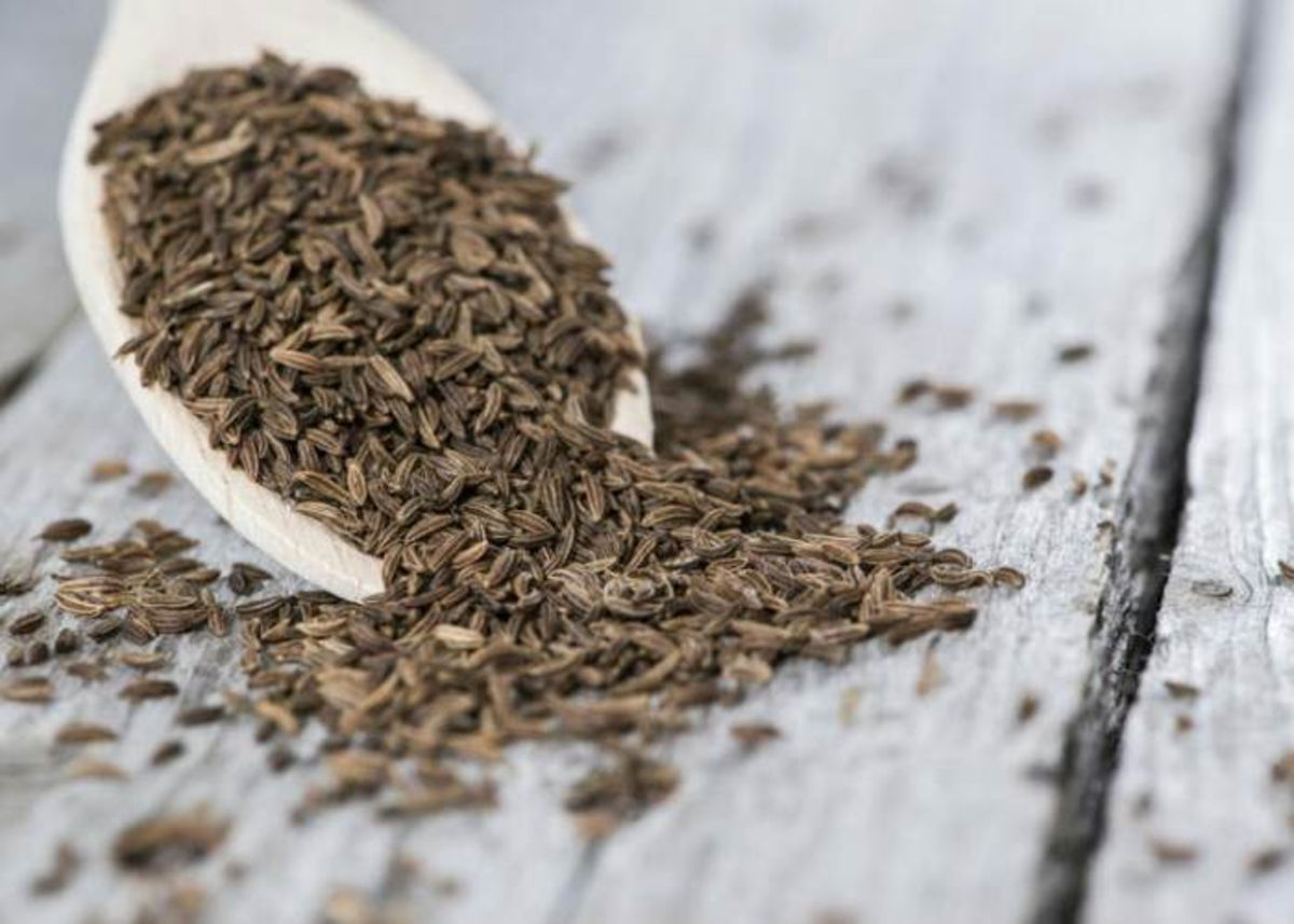 Cuchara con alcaravea