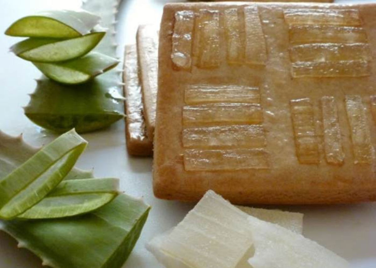 Galletas aloe vera