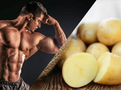 ¿La proteína de patata podría estimular el crecimiento muscular?