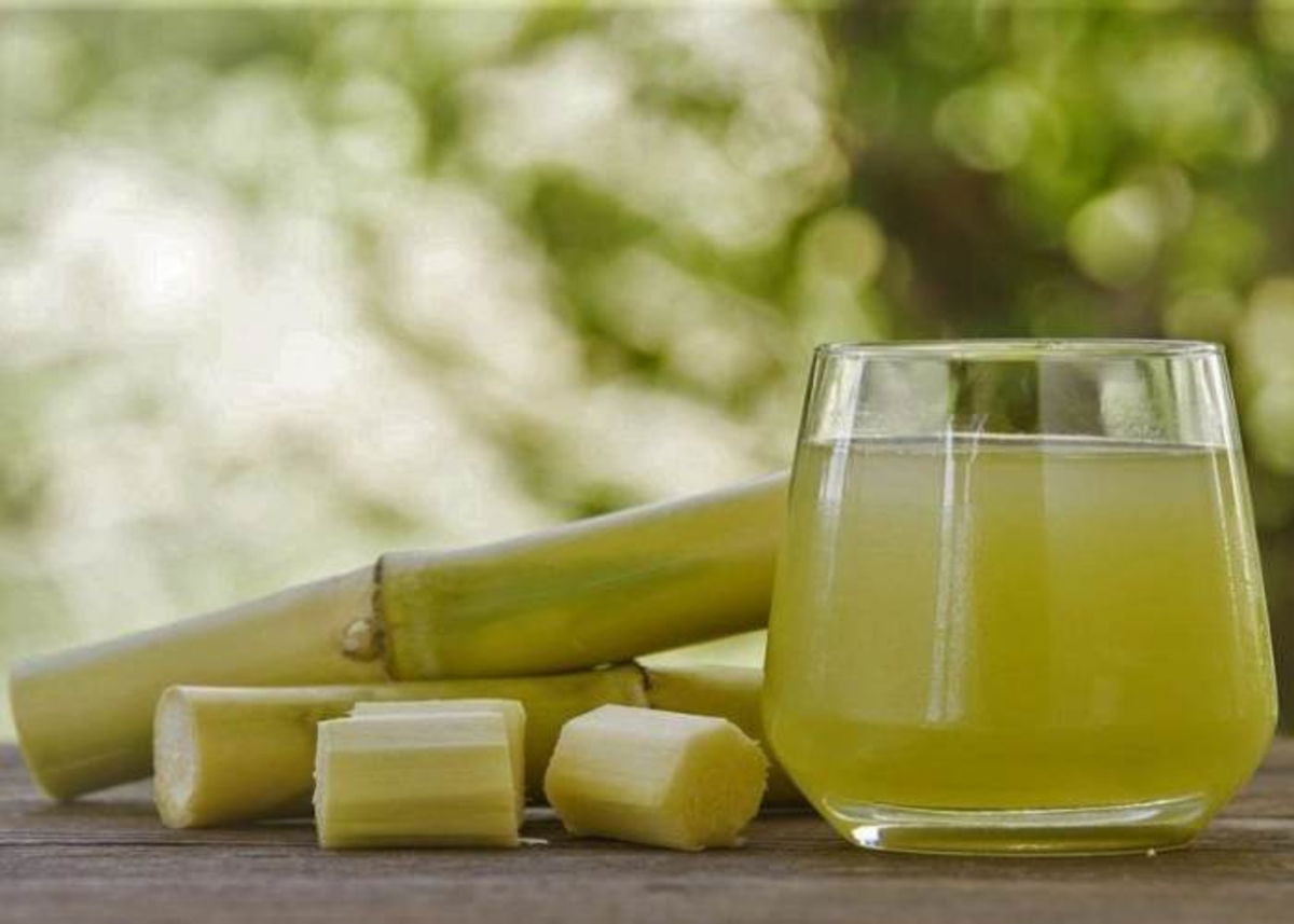 Vaso de zumo de caña de azúcar