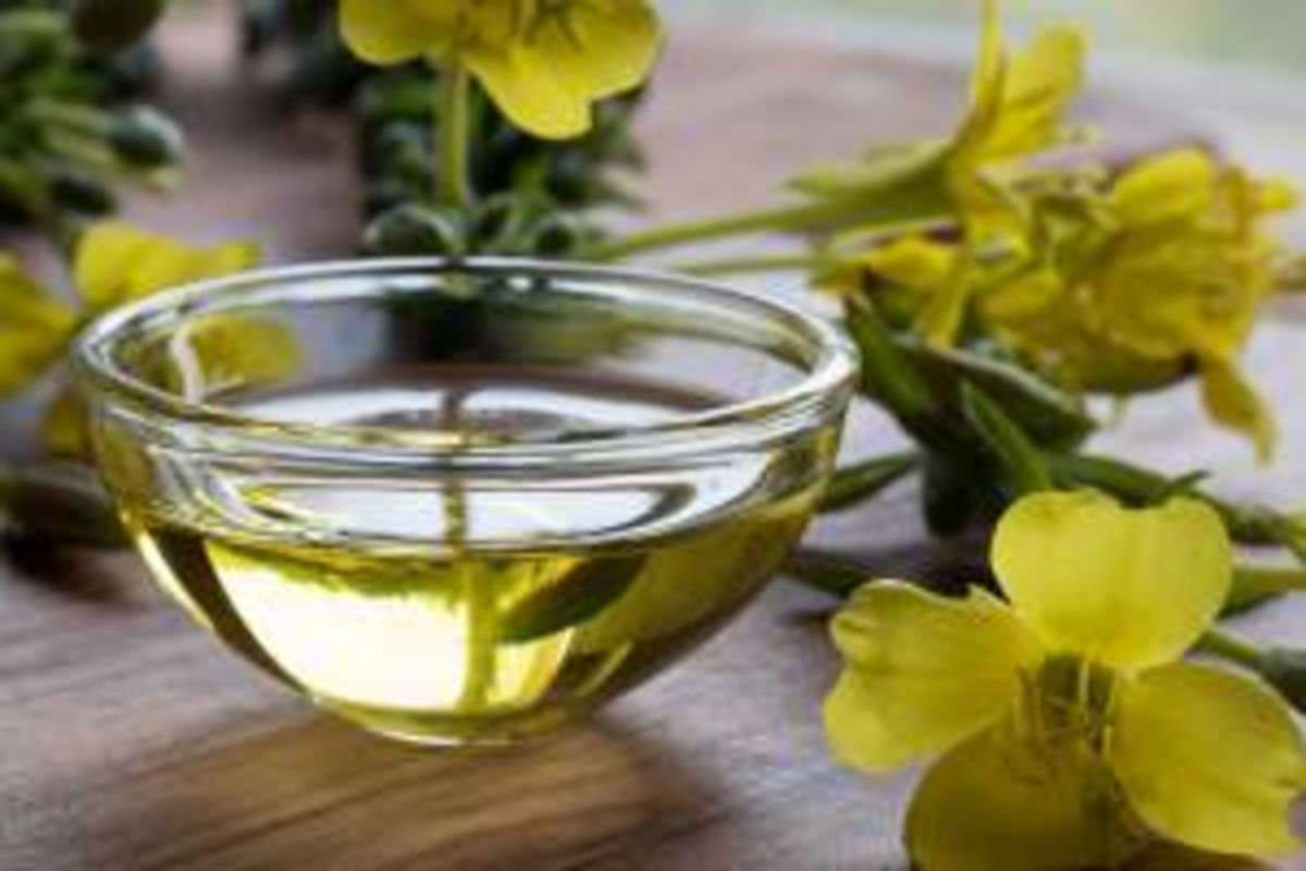 Flor onagra y aceite