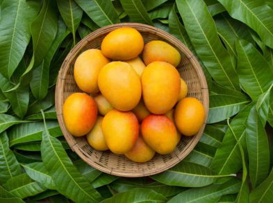 Beneficios de las hojas de mango para la salud