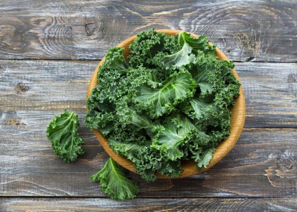 Beneficios Del Kale Para La Salud