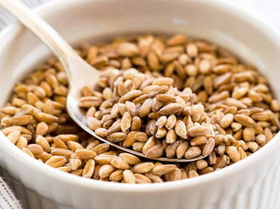 Farro, un cereal que está supliendo a la quinoa