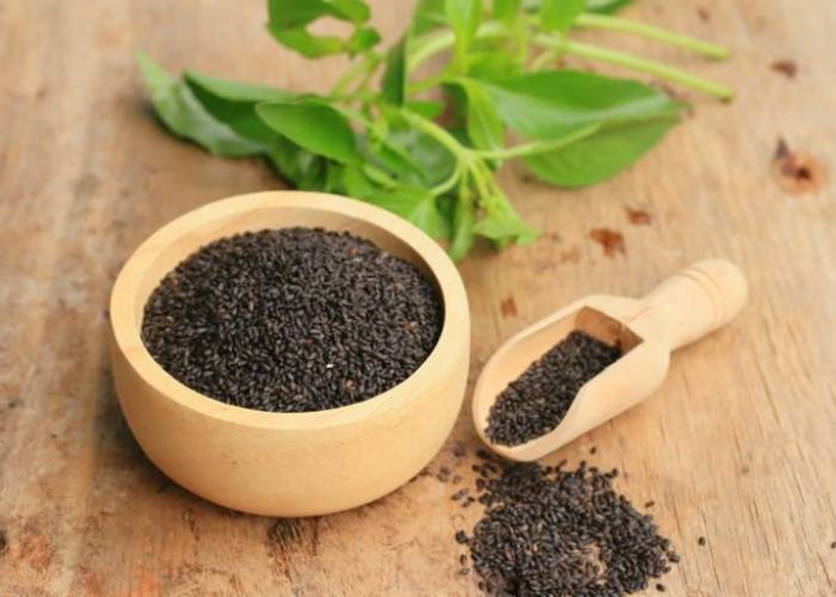 Recipiente con semillas de albahaca