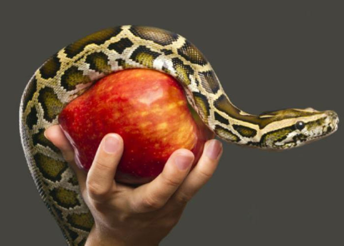 Dieta de la serpiente