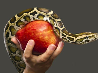 De qué trata la dieta de la serpiente