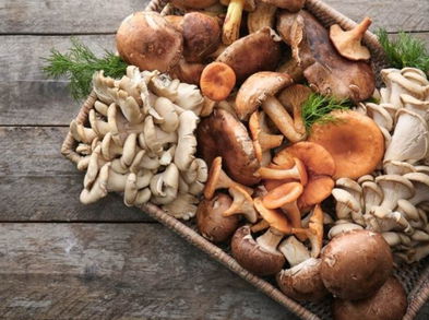 Estimula el sistema inmune con estos hongos